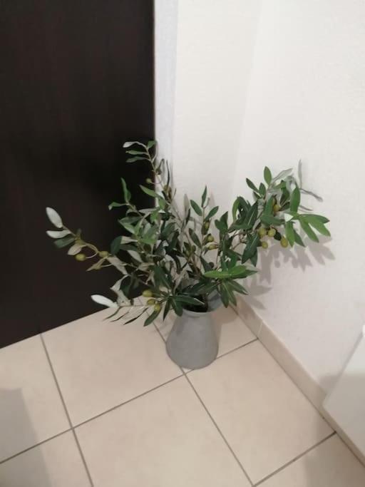 Le Soleil D Eugenie Appartement Dans Residence Avec Piscine Commune Pres De Carcassonne Olonzac エクステリア 写真