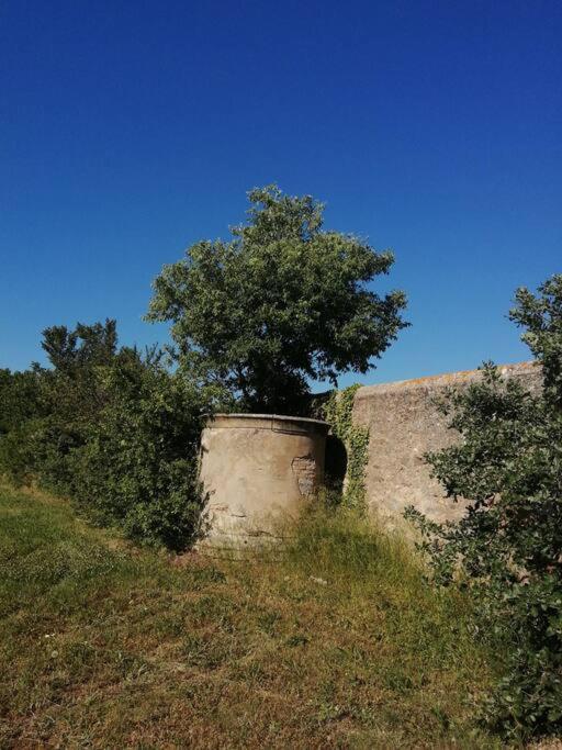 Le Soleil D Eugenie Appartement Dans Residence Avec Piscine Commune Pres De Carcassonne Olonzac エクステリア 写真