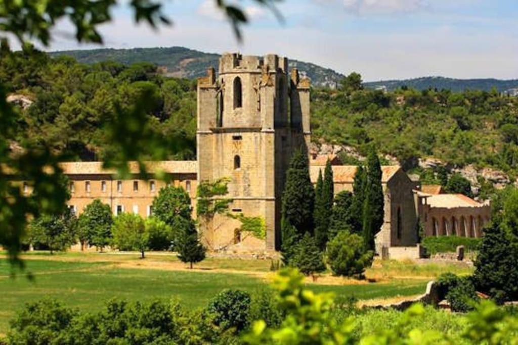 Le Soleil D Eugenie Appartement Dans Residence Avec Piscine Commune Pres De Carcassonne Olonzac エクステリア 写真