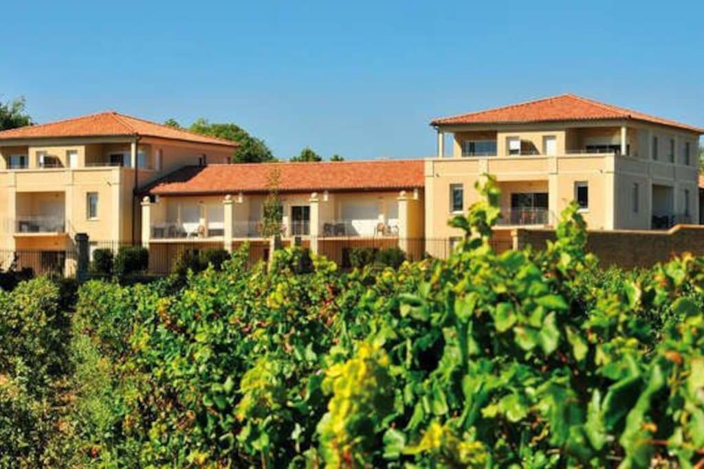 Le Soleil D Eugenie Appartement Dans Residence Avec Piscine Commune Pres De Carcassonne Olonzac エクステリア 写真