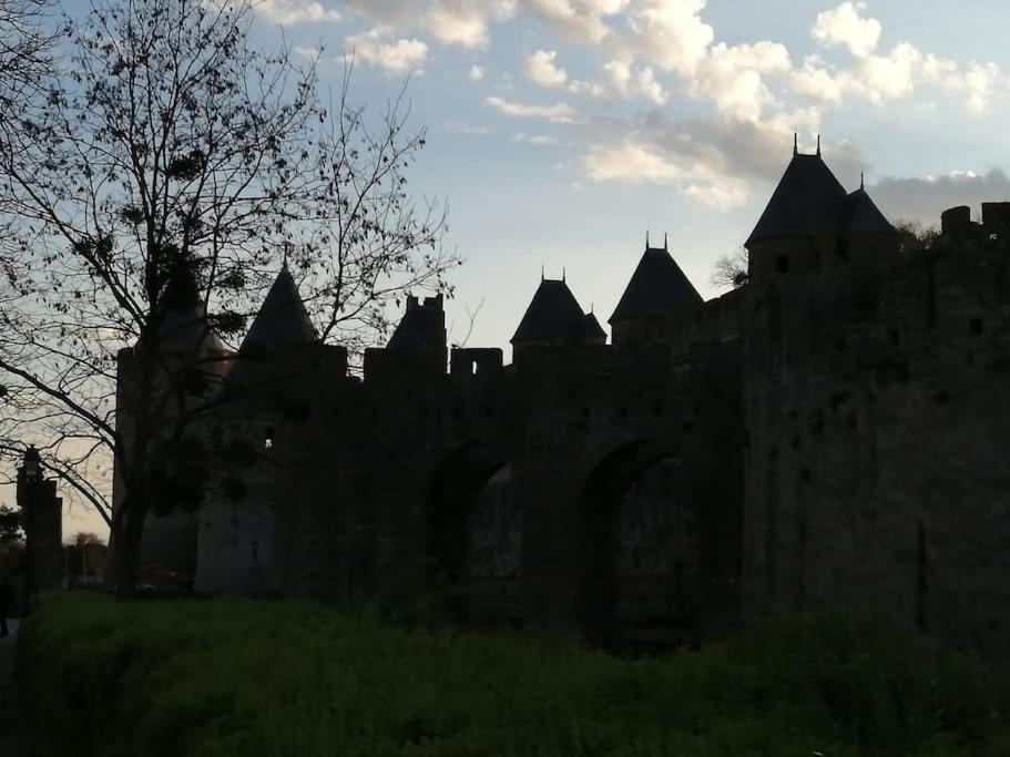Le Soleil D Eugenie Appartement Dans Residence Avec Piscine Commune Pres De Carcassonne Olonzac エクステリア 写真