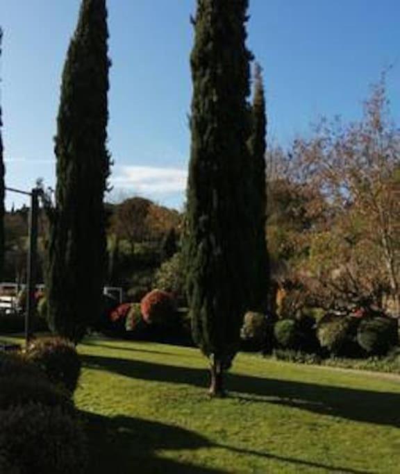 Le Soleil D Eugenie Appartement Dans Residence Avec Piscine Commune Pres De Carcassonne Olonzac エクステリア 写真