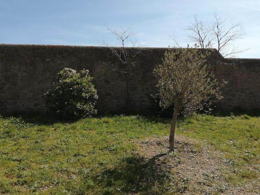 Le Soleil D Eugenie Appartement Dans Residence Avec Piscine Commune Pres De Carcassonne Olonzac エクステリア 写真